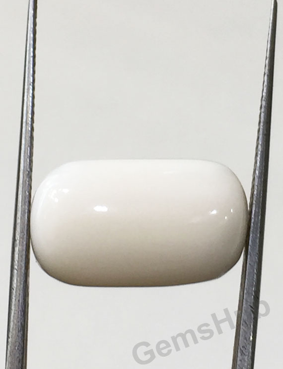 12.50 ratti/11.31 ct Natural Certified  White Coral/सफ़ेद मूंगा
